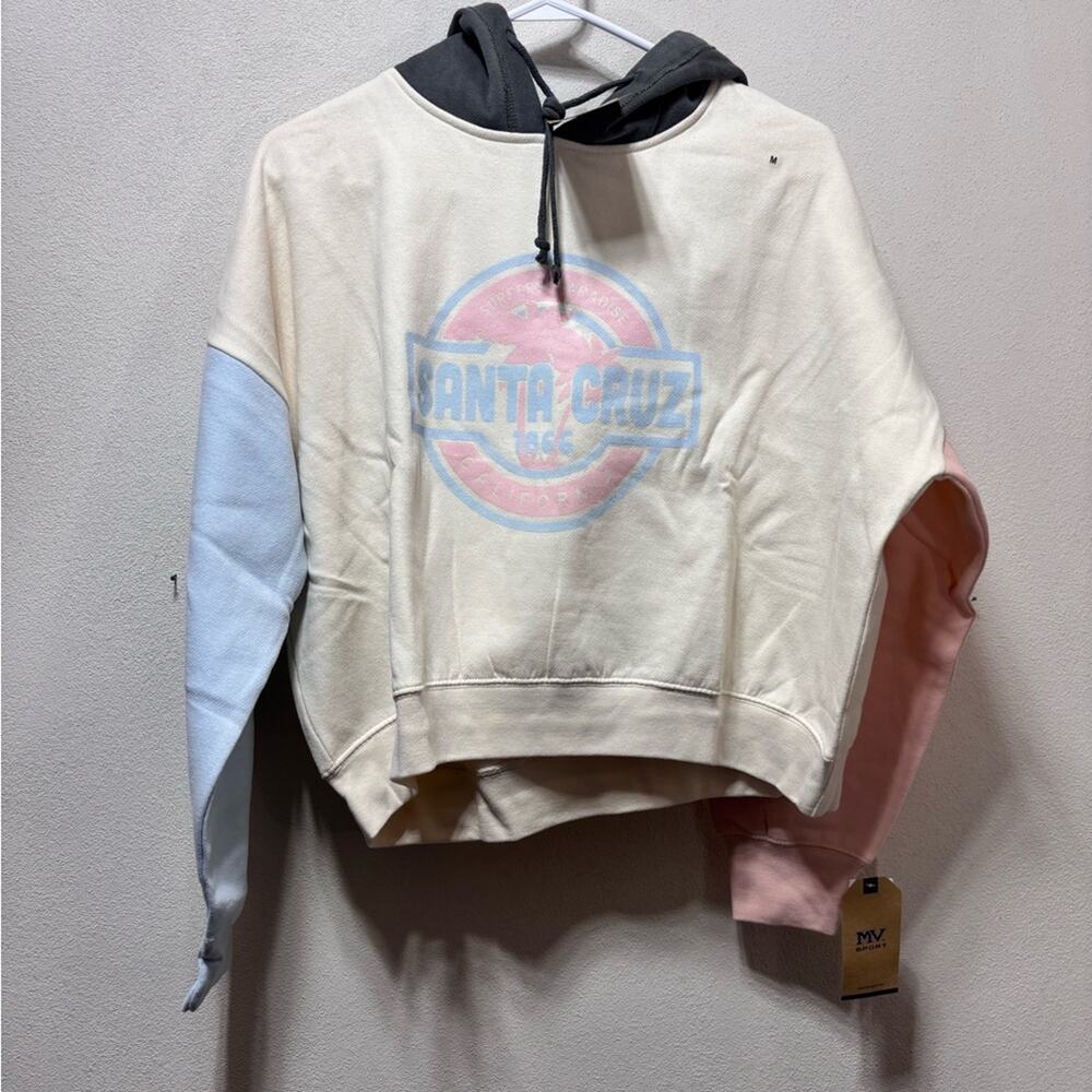 Colorblock Hoodie with Santa Cruz Logo